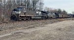 NS 4142 leads the black gold.